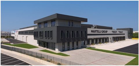 Martelli Group SPA