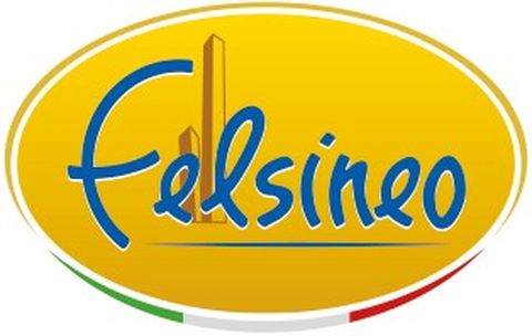 FELSINEO SPA SOCIETÀ BENEFIT